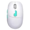 Pelė Defender NITTA MM-307 RF+BT OPTIC 1600dpi 6P WHITE