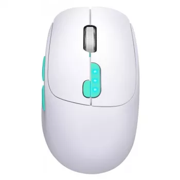 Pelė Defender NITTA MM-307 RF+BT OPTIC 1600dpi 6P WHITE