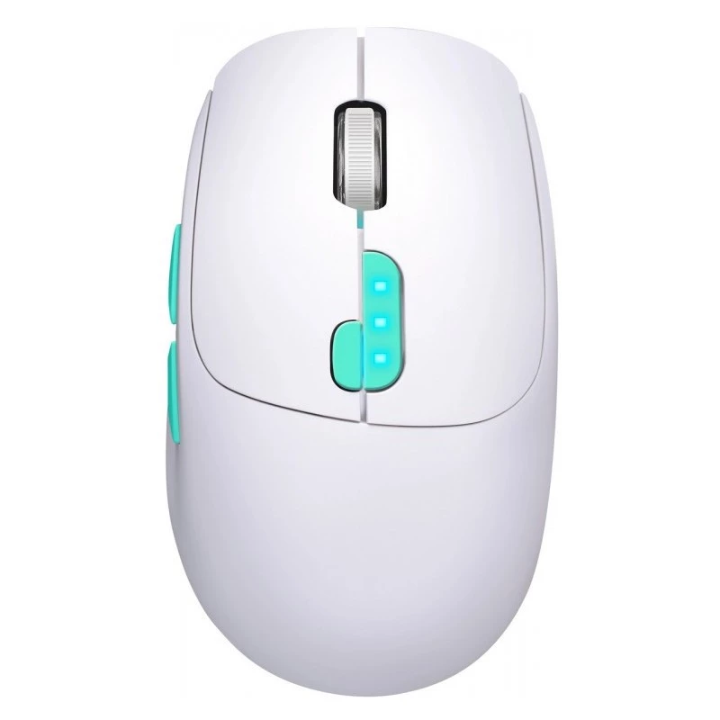 Pelė Defender NITTA MM-307 RF+BT OPTIC 1600dpi 6P WHITE