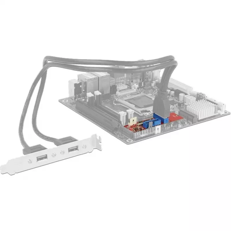 Delock Converter M.2 Key B+M vyriškas > 2 x USB3.0 kaiščių jungtis - USB adapteris - M.2 kortelė - USB3.0 (vidinis) x 2 (62843)
