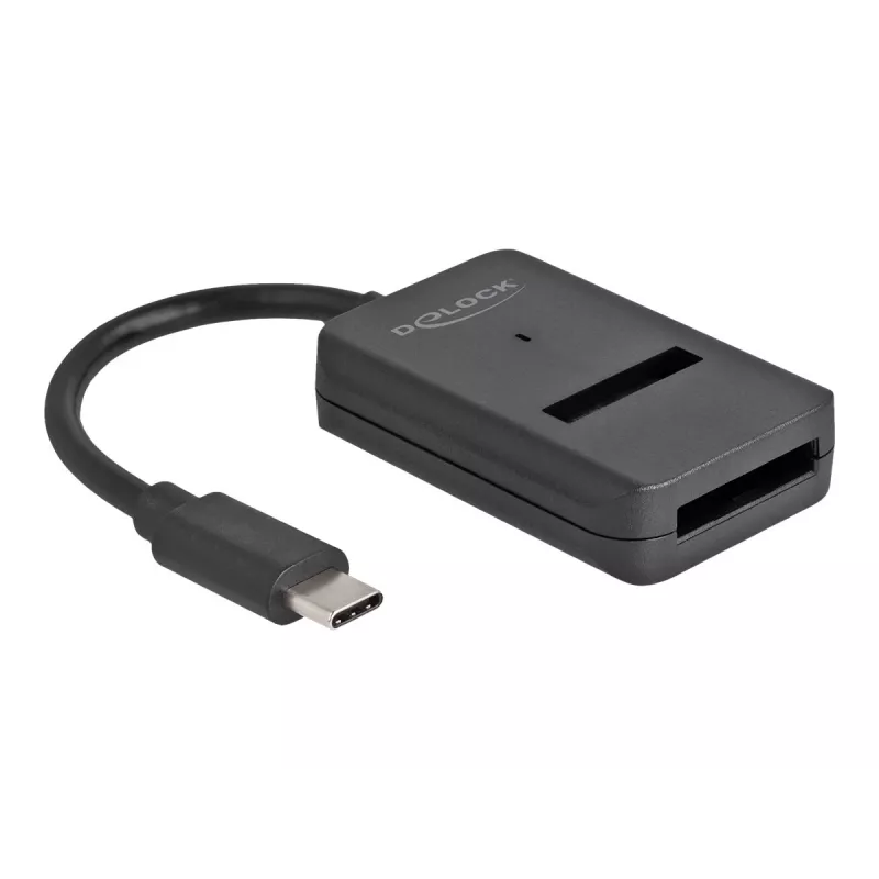 DeLOCK Combo Converter for M.2 NVMe PCIe SATA SSD USB Type-C 10 Gbps