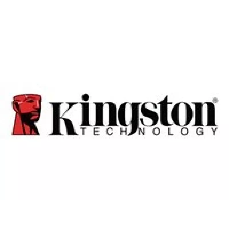 USB atmintukas Kingston 256GB USB 3.2 USB-A baltas KC-U2G256-5R