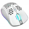 Žaidimų pelė Deltaco GAM-120-W RF belaidė USB Type-C
