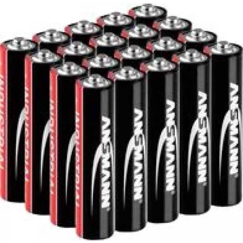 Industrial Micro AAA -Battery Alkali-Mangan 1.5 V 20 vnt. - Baterija (1501-0004)