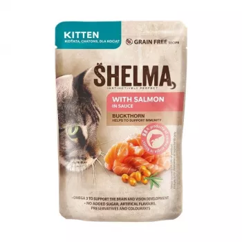 SHELMA Kačiukams su lašiša padaže - šlapias kačių ėdalas - 85 g