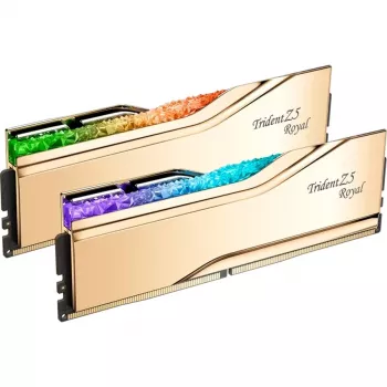 G.SKILL DDR5 32 GB (2 x 16 GB) 7200 MT/s 288-pin DIMM atminties rinkinys F5-7200J3445G16GX2-TR5G