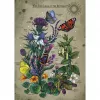 Dėlionė Ravensburger Circle of Life Butterfly 1000 dalių