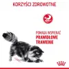 Sausas kačių maistas Royal Canin Digestive Care 4 kg — Suaugusios katės, paukštiena, virškinimo palaikymas