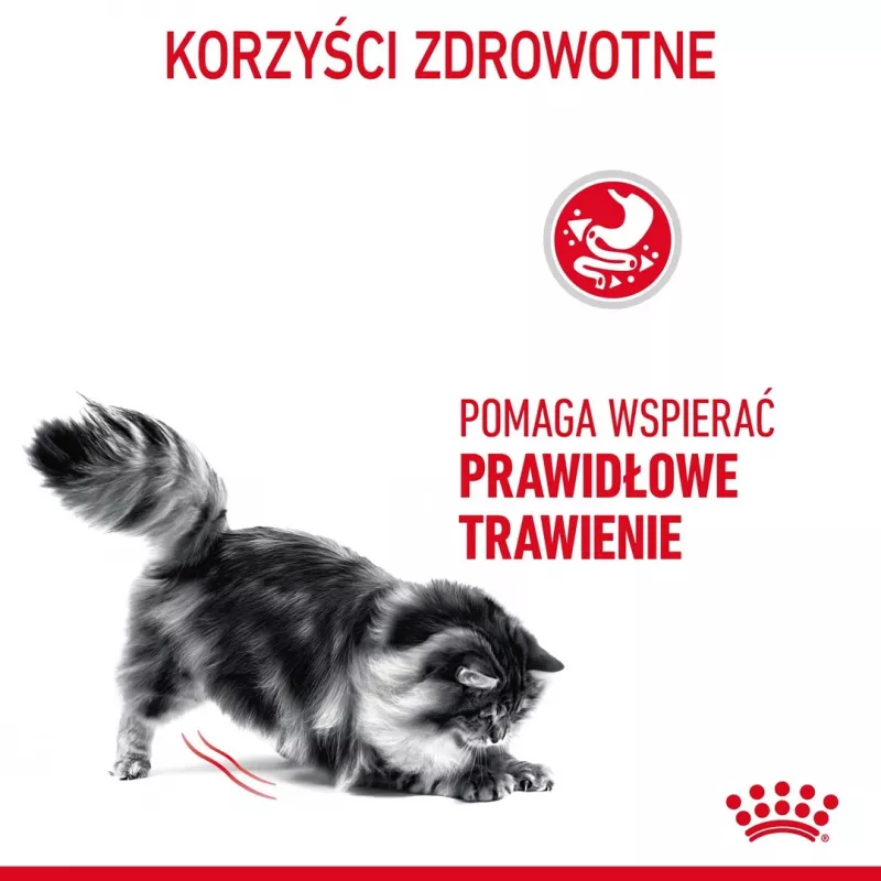Sausas kačių maistas Royal Canin Digestive Care 4 kg — Suaugusios katės, paukštiena, virškinimo palaikymas
