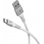 Wentronic 74529 USB laidas, baltas