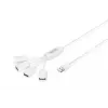 Delock USB adapteris - USB Type A (moteriškas) į 24 kontaktų USB-C (vyriškas)