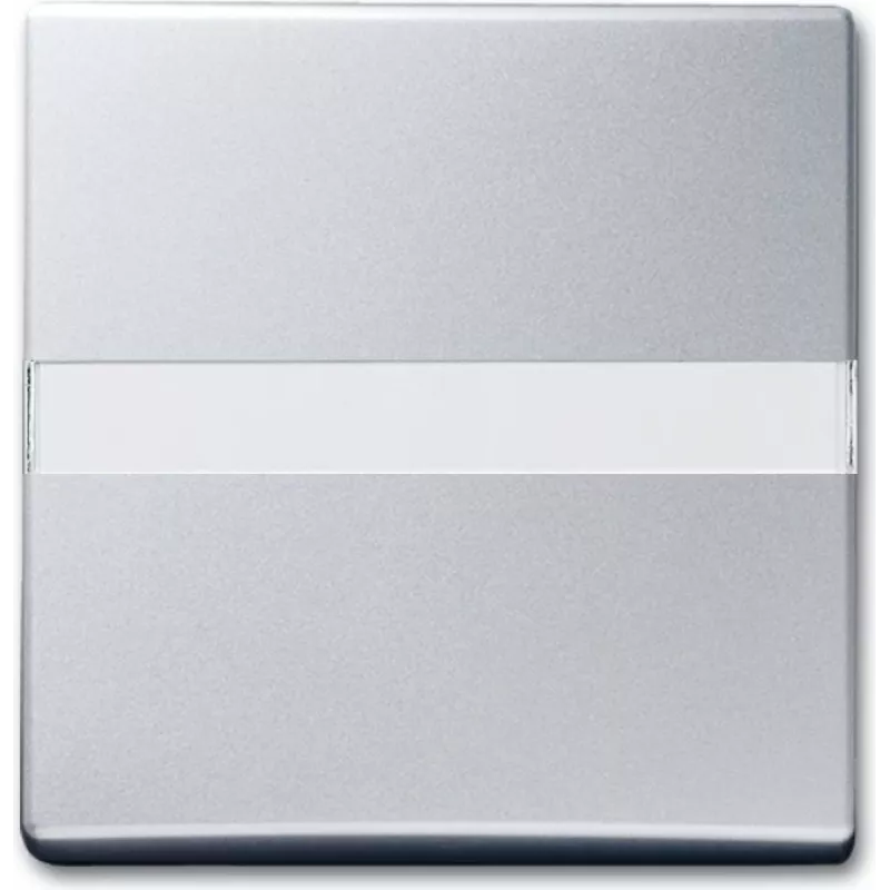 Busch Jaeger 2106 N-33 Silver (1731-0-1961)