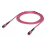 “Ubiquiti UACC-OFC-MA-MPMP-3M” MPO/UPC šviesolaidinis kabelis 3 m OM4