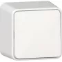 GIRA Rocker Switch 310613 jungiklis AP gryna balta (310613)