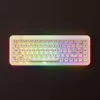 Mechaninė žaidimų klaviatūra AKKO YU01 Antique Jade 65% RGB su V3 Piano Pro jungikliais
