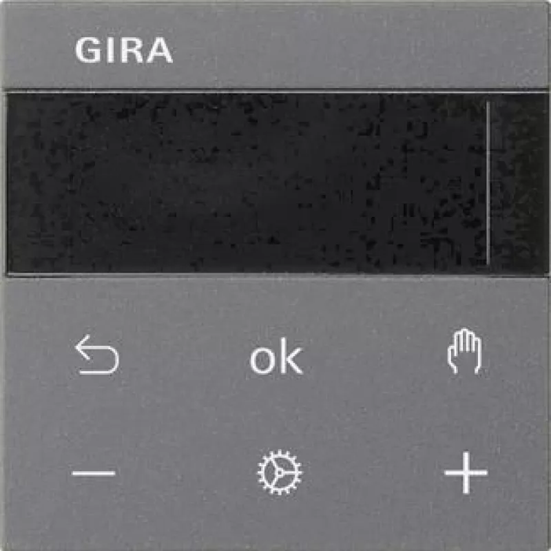 Gira RTR Display Anthracite 539328 (539328)