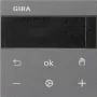 Gira RTR Display Anthracite 539328 (539328)