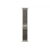 Juosta Apple MGHP4ZM/A išmaniesiems priedams, natūralus titanas, 49 mm