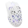 Pelė White Shark GM-5018 Caradoc RGB 7200 dpi balta