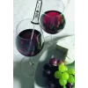 Skaitmeninis maisto termometras GEFU 21820, nerūdijančio plieno zondas, nuo -45 iki 200 °C, 10 s reakcijos laikas, juodas