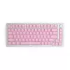 Glorious PC Gaming Race GMMK ABS Doubleshot V2 UK bazinis rinkinys - rožinė (GLO-KC-ABS-UKKIT-P)