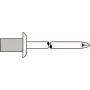 Aklina kniedė GESIPA 4×8,0 mm Al/A2 CAP Standard, 500 vnt.