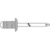 Aklina kniedė GESIPA PG Al/A2 4x10 mm RAL9010 balta pakuotė 500 vnt.