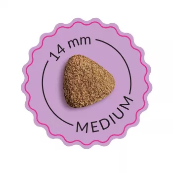 ADDVENA Power of Nature Adult Sensitive Medium/Large Lamb - sausas šunų maistas - 2,5kg
