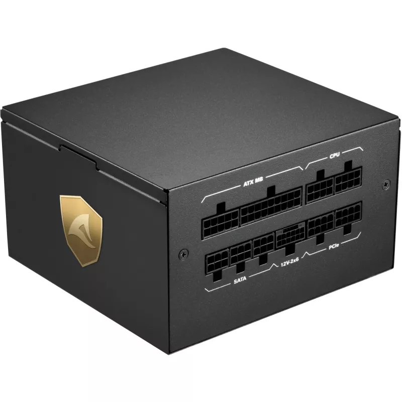 Sharkoon Rebel P20 maitinimo blokas 1000 W 24-pin ATX ATX juodas