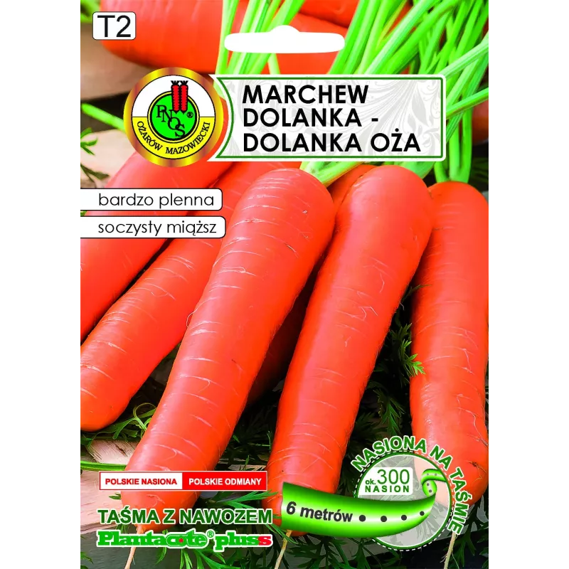 Apte Marchew Dolanka 6 m juosta su Platnacote trąšomis — vėlyvoji veislė