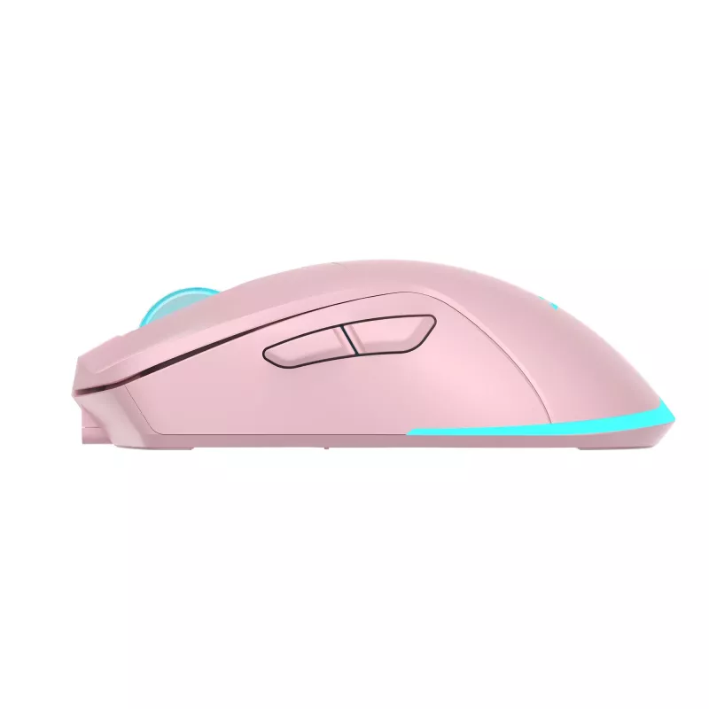 Pelė Baracuda BGM-124 Turtle Pink TURTLE-P