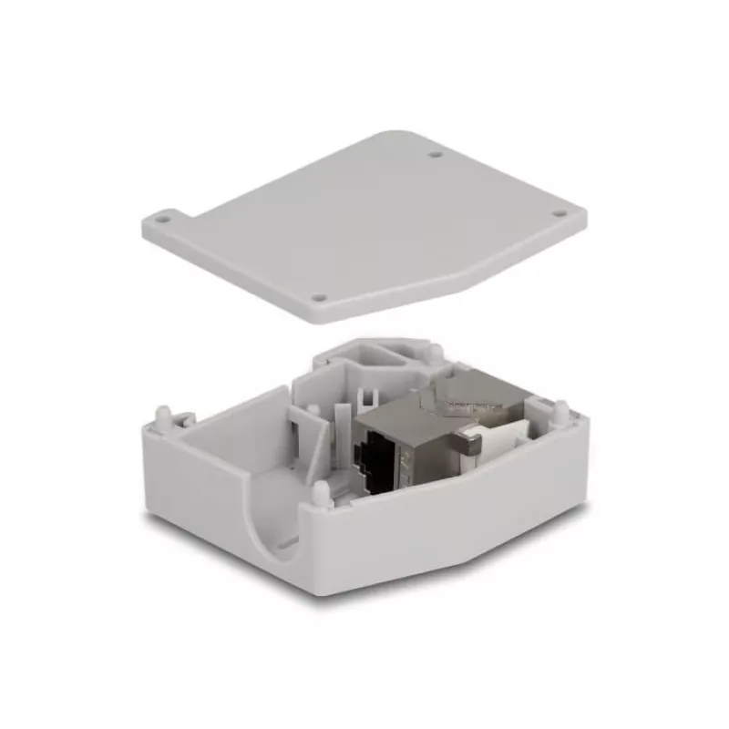 DeLOCK DIN bėgio adapteris RJ45 lizdas į RJ45 lizdą Cat.6A Pilka