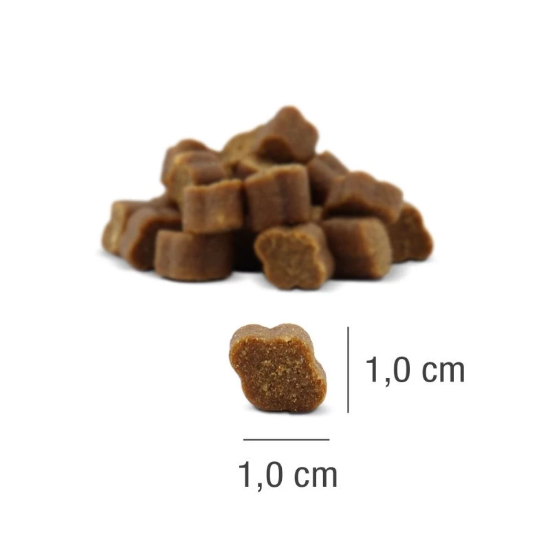 PLATINUM Fit-Bits Detox - šunų skanėstas - 150g