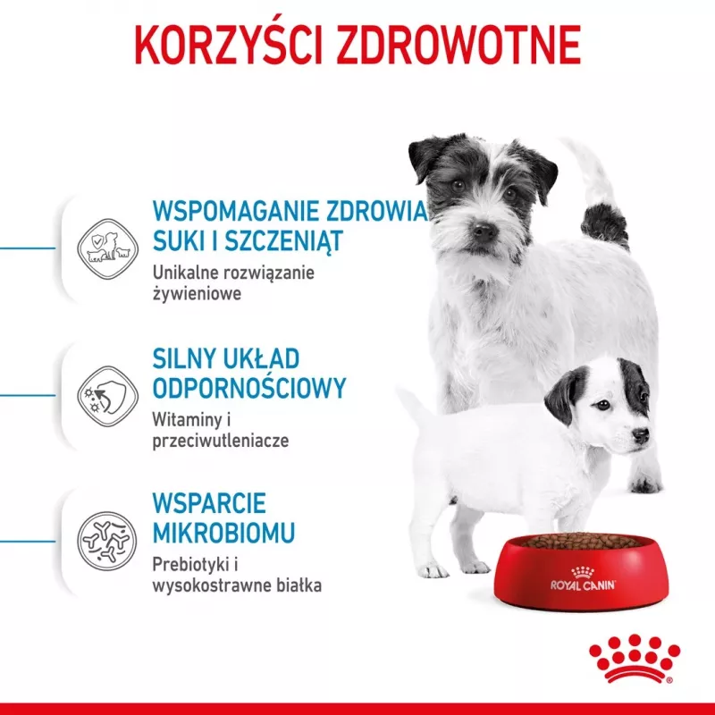 Sausas šunų maistas Royal Canin Starter Mother & Babydog 1 kg — vištienos, 30% baltymų, 22% riebalų