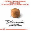 Sausas kačių maistas Royal Canin Maine Coon Adult 10 kg — paukštiena (vištiena), 31% baltymų, 20% riebalų