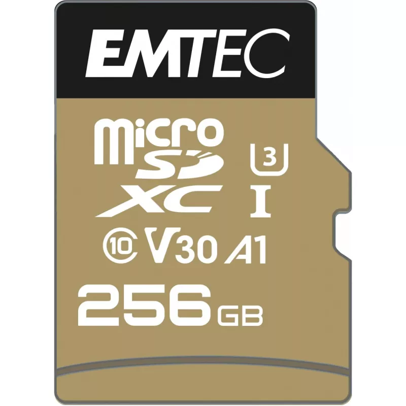 „flash“ atmintinė Emtec SpeedIN Pro 256 GB MicroSDXC UHS-I Class 10