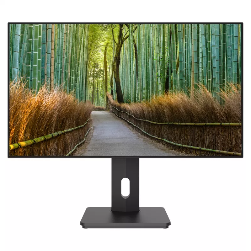 JAPANNEXT JN-27IPS4FLWQHDR-HSP 16 9 HDMI/DP WQHD - plokščias ekranas (TFT/LCD)