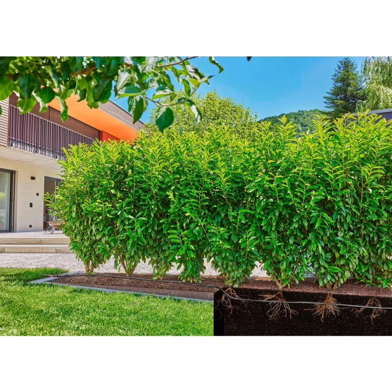 Gardena 13504-20 sodo žarna 50 m požeminė juoda