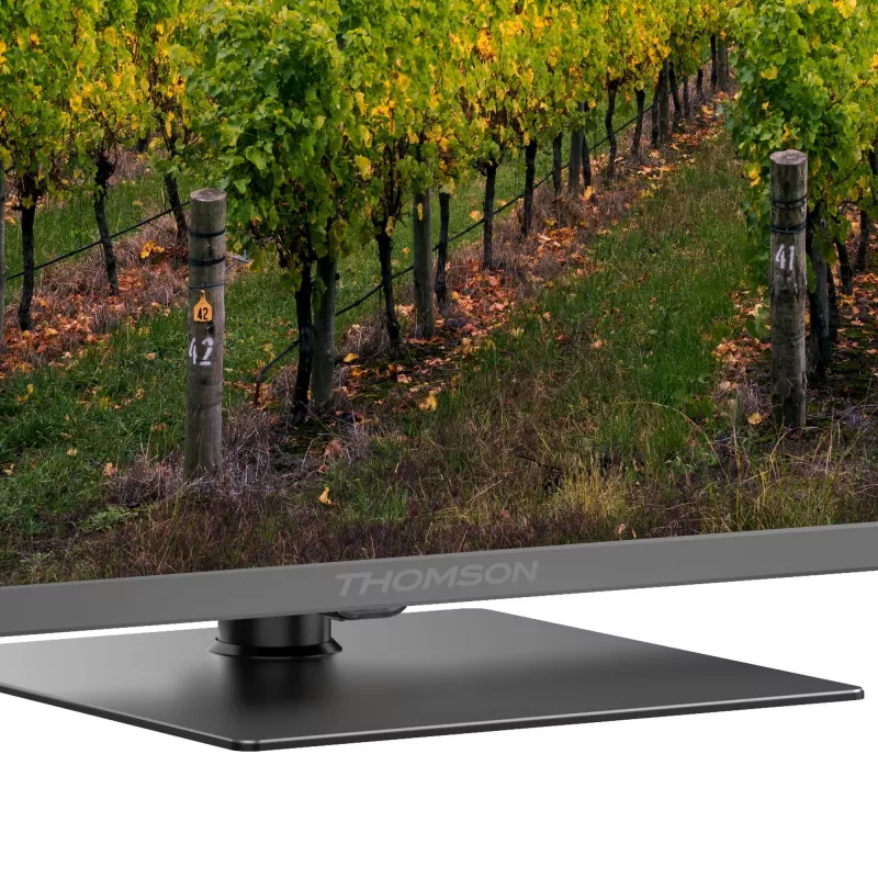 Televizorius|THOMSON|65 |4K Ultra HD|3840 x 2160 pikselių|Plokščias|QLED|65QG5C14