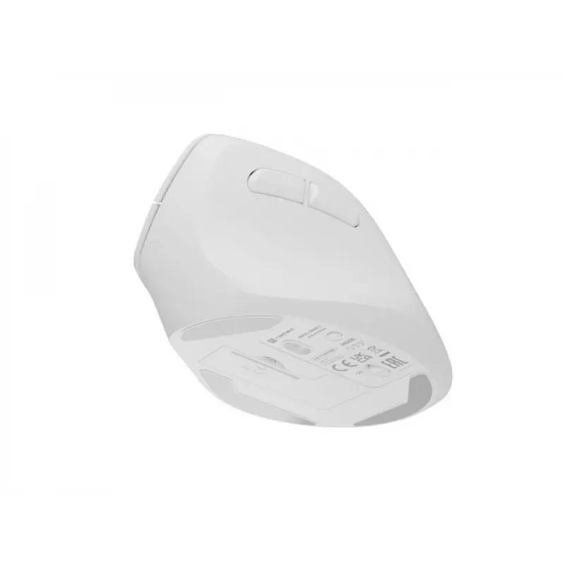 NATEC Crake 2 pelė, universali, dešiniarankiams, RF belaidė + Bluetooth optinė 2400 DPI