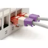 Spalvinis kodavimo segtukas Digitus Color clips skirtas pataisymo kabeliui A-CC-VI PVC violetinis