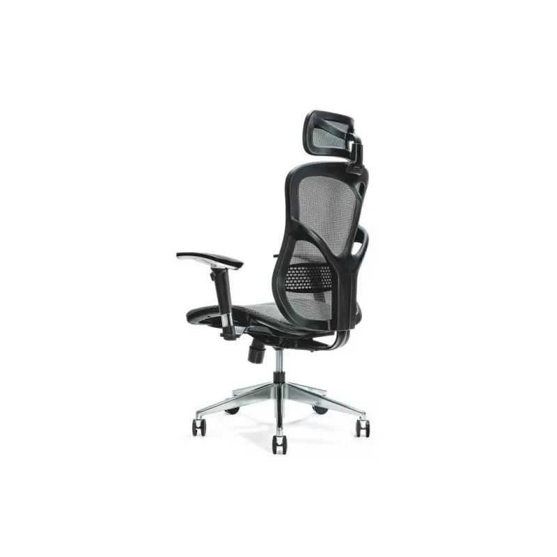 Ergonominė biuro kėdė ERGO 500 pilkas
