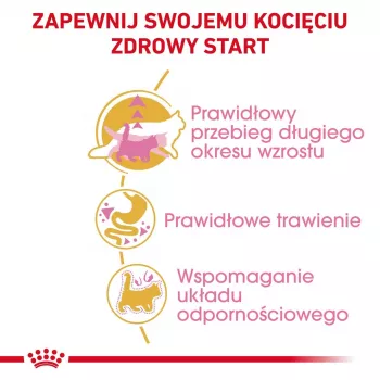 Sausas kačių maistas Royal Canin Maine Coon Kitten 2 kg — paukštiena, baltymai 36%, riebalai 23%