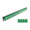 Sujungimo dėžutės priekinis skydelis DeLOCK 19 colių 43370 24 prievadų LC Quad žalias