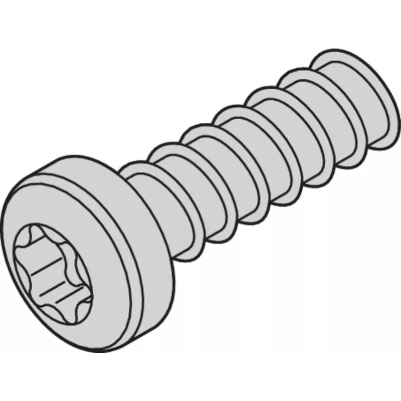 SCHROFF SCREW TORX 2.5X7.3 (100PCS) - Rack-Accessory (24560157)