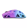 Pelė White Shark GM-5019 Dagonet Wireless