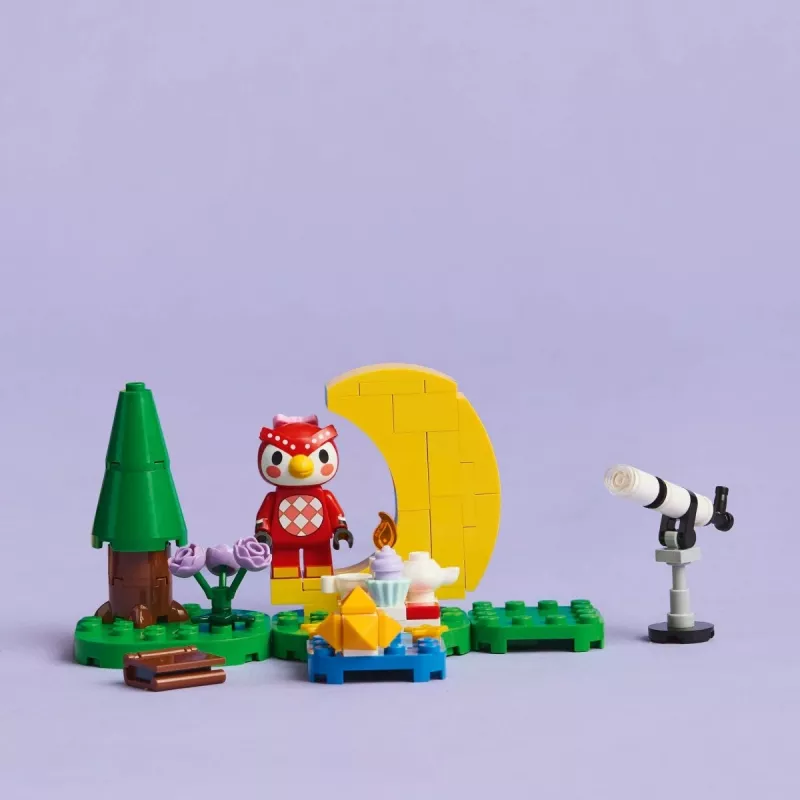 Konstrukcinis žaislas LEGO Animal Crossing Žvaigždžių stebėjimas su Eufemija rinkinys 77053