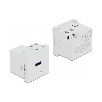 Maitinimo lizdas USB-A DELOCK 81311, balta, 100–240V, 0,5A, LED maitinimo indikatorius, plastikinis korpusas
