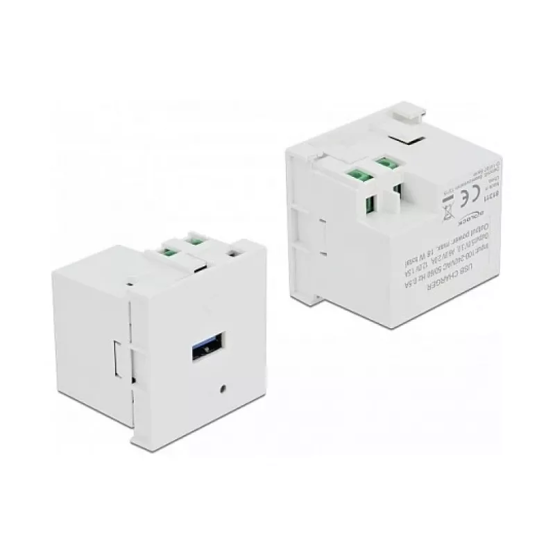 Maitinimo lizdas USB-A DELOCK 81311, balta, 100–240V, 0,5A, LED maitinimo indikatorius, plastikinis korpusas