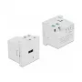Maitinimo lizdas USB-A DELOCK 81311, balta, 100–240V, 0,5A, LED maitinimo indikatorius, plastikinis korpusas